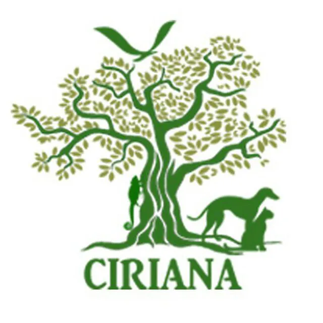 logo Ciriana
